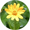 vignesh ghag vignesh ghag